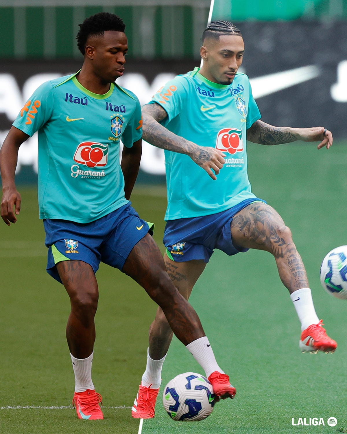 西甲官推發(fā)問：你是巴西主帥，左邊鋒維尼修斯&拉菲二選一選誰？